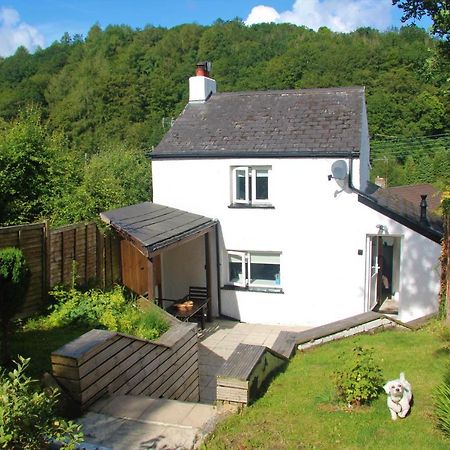 Peacock Cottage Cinderford 외부 사진