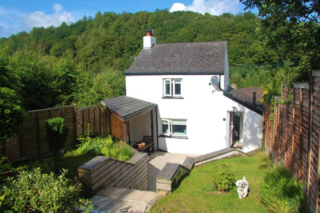Peacock Cottage Cinderford 외부 사진