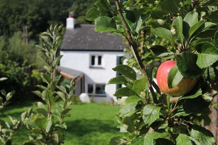 Peacock Cottage Cinderford 객실 사진